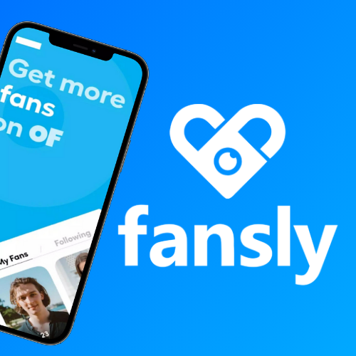 Fansly Panels